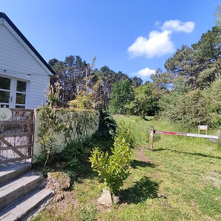 Chalet Cosy, Plages A Pieds. Morbihan. Plouhinec  Buitenkant foto