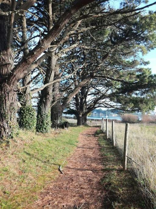 Chalet Cosy, Plages A Pieds. Morbihan. Plouhinec  Buitenkant foto