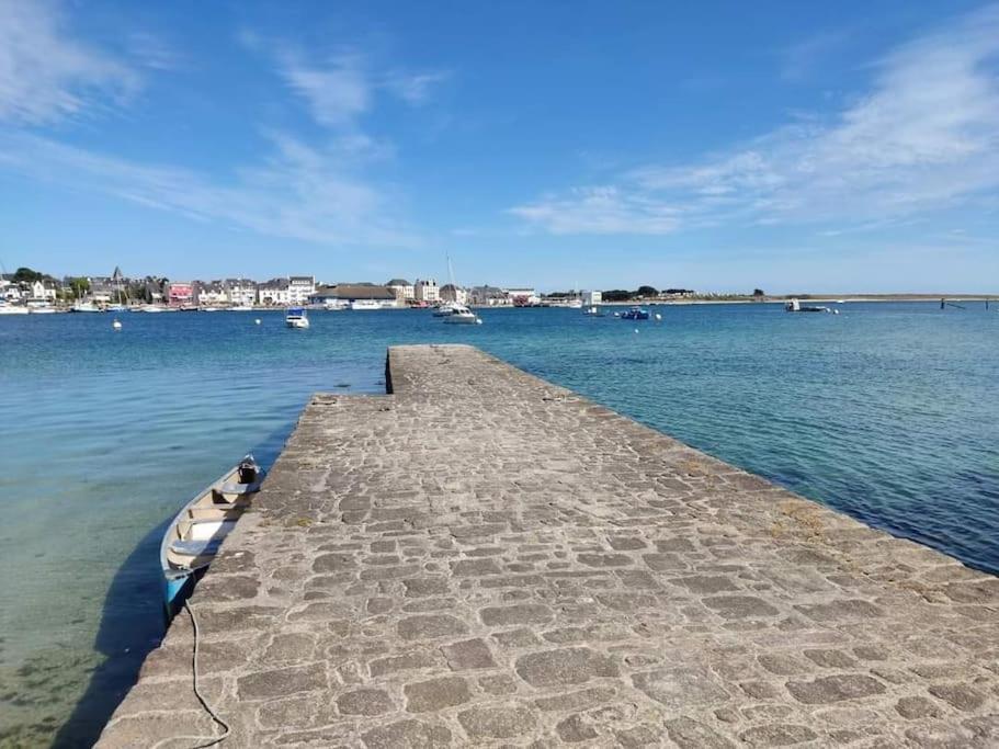 Chalet Cosy, Plages A Pieds. Morbihan. Plouhinec  Buitenkant foto